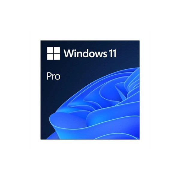 Microsoft windows 11 pro 64b  esd